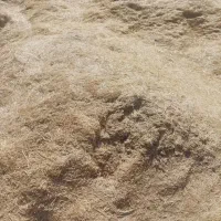 کاه