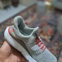 کتونی مردانه. ( اسچیکرز  )   ۴۳