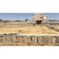 زمین