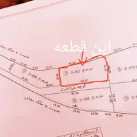 فروش زمین زراعی815متری