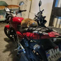 معاوضه متور پالس ۱۸۰ یوجیفور با گوشی و اقساط|موتورسیکلت|تهران, پاسداران|دیوار