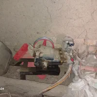 پمپ سمپاش