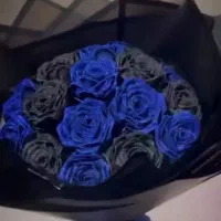 هدیه روز مرد،کادو های عروسکی،گل های رز|اسباب‌‌بازی|اردبیل, |دیوار