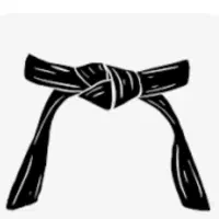 آموزش هنرهای رزمی