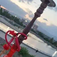 تنه گردو دوسیب