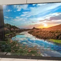 تلوزیون ایکس ویژن 55