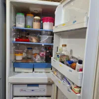 یخچال گلسان|یخچال و فریزر|مشهد, خواجه ربیع|دیوار