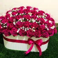 گل ربانی پناه