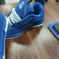 کتونی|کیف، کفش، کمربند|پیشوا, |دیوار