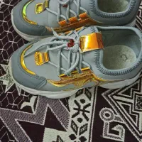 کفش|کلکسیون و سرگرمی|یزد, |دیوار