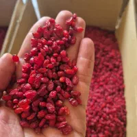زرشک درجه ۱ صادراتی