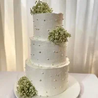 کیک های مدرن|خوردنی و آشامیدنی|کرج, عظیمیه|دیوار