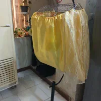 یک جفت عروس هلندی تخم گذار باقفس فروشی میباشد|پرنده|اهواز, نادری|دیوار