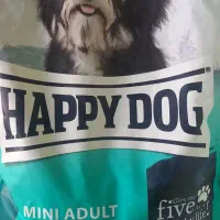 هپی کت هپی داگ