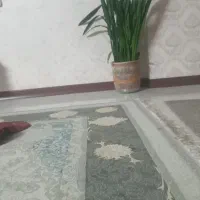 یک عدد گل بزرگ