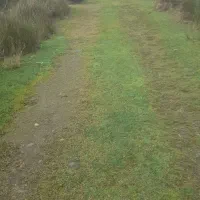 ۳۳۰ متری دوبر باغی هلوکله شمشاد کاسبی|فروش زمین و ملک کلنگی|چابکسر, |دیوار