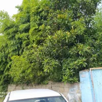 ویلای ۱۰۰متریدر رضوانشهر|فروش خانه و ویلا|رضوانشهر, |دیوار