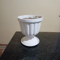 گل و گلدان|گل مصنوعی|کرمانشاه, |دیوار