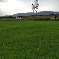 فروش زمین کشاورزی مناسب برای باغ جاده پلدشت|فروش دفتر صنعتی، کشاورزی، تجاری|ماکو, |دیوار