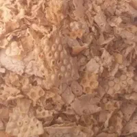 نان خشک