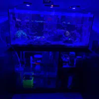 آکواریوم آب شور برند معروف ایران آکواریوم