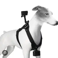 نیازمند ادیتور تدوین‌کننده Reels / Shorts  POV