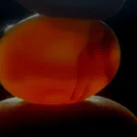 انگشتر عقیق یمنی|جواهرات|اهواز, پردیس|دیوار