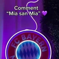 تابلو|ریسه و چراغ تزئینی|بجنورد, |دیوار