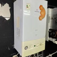 پکیج گلدیران مدل پایونر