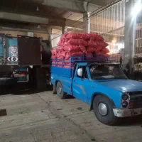 وانت نیسان دوگانه سی ان جی