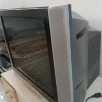 تلوزیون
