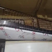 ابچکون /فست فود/کافه