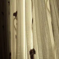 استخدام خانوم برای آشپزی و نظافت منزل