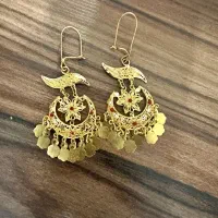 گوشوار شیک ولوکس.و یک جفت سرزلفی زیبا