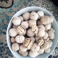 فروش گردوکاغذی امسال مغزسفیدوقهویی