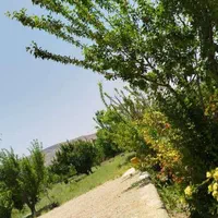 اجاره ویلا باغ|اجارهٔ کوتاه‌مدت ویلا و باغ|یاسوج, |دیوار