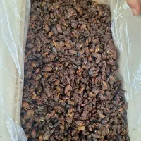 کشمش ابگیری|خوردنی و آشامیدنی|پاکدشت, پاکدشت (مامازند)|دیوار