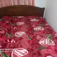 تخت خواب چوبی|تخت و سرویس خواب|بروجرد, |دیوار