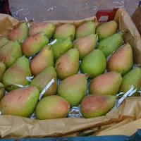 اکیب،میوه چین وصیفی جات