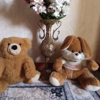 دوعدد عروسک سالم نو