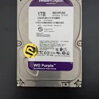 هارد وسترن دیجیتال