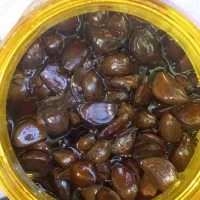 ترشی سیر ۸ ساله