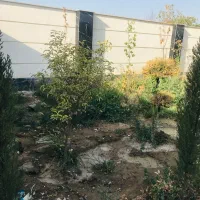 فروش یک باغچه  ۵۰۰متری در سهیلیه زکی اباد زیرقیمت|فروش خانه و ویلا|هشتگرد, تهران دشت|دیوار