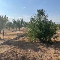 باغشهر ساوالان