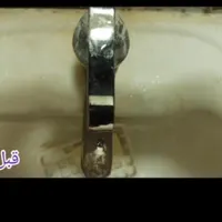 شوینده سلامت محور و چند منظوره (بودیت)|مواد شوینده و دستمال کاغذی|نیشابور, فضل|دیوار