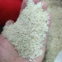 برنج دم سیاه درجه یک