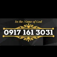 3031 161 0917