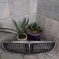 جلو پنجره نیسان و موکت صندق عقب نو و چراغ ماکسیما