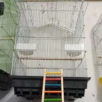 قفس پرندگان