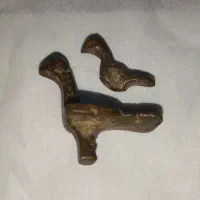 دو عدد پرنده